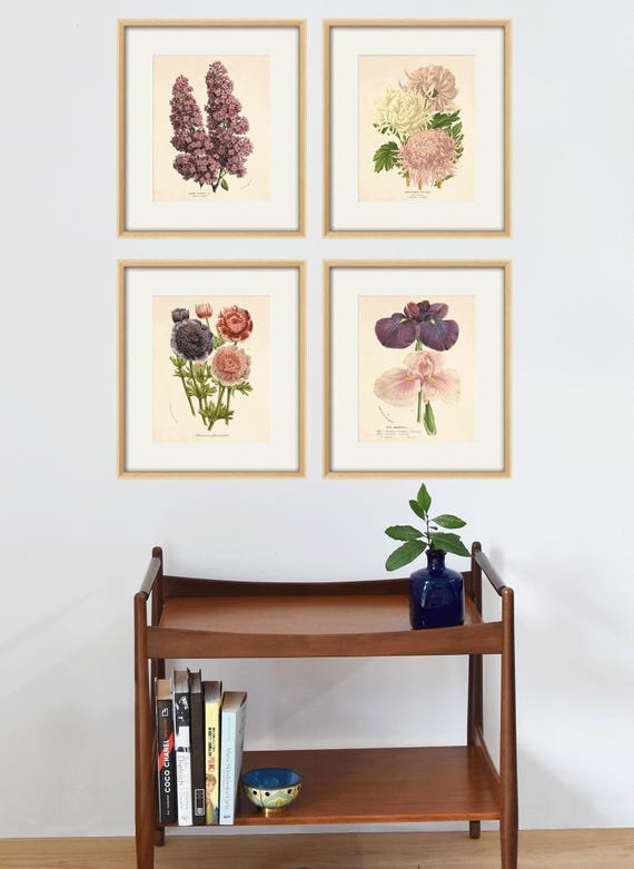 Antique Anemone Flower Art Print: Victorian Botanical Illustration