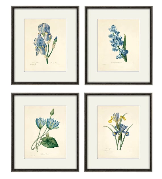 Blue Botanical Prints Vintage Flower Art Cottage Wall