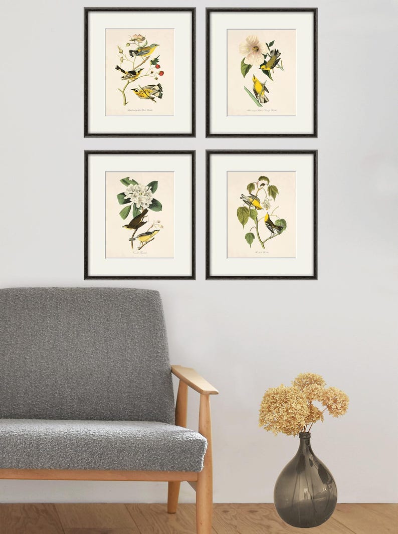 May include: Four framed prints of vintage bird illustrations. Each print features a yellow bird perched on a branch with flowers. The prints are arranged in a grid pattern on a white wall.