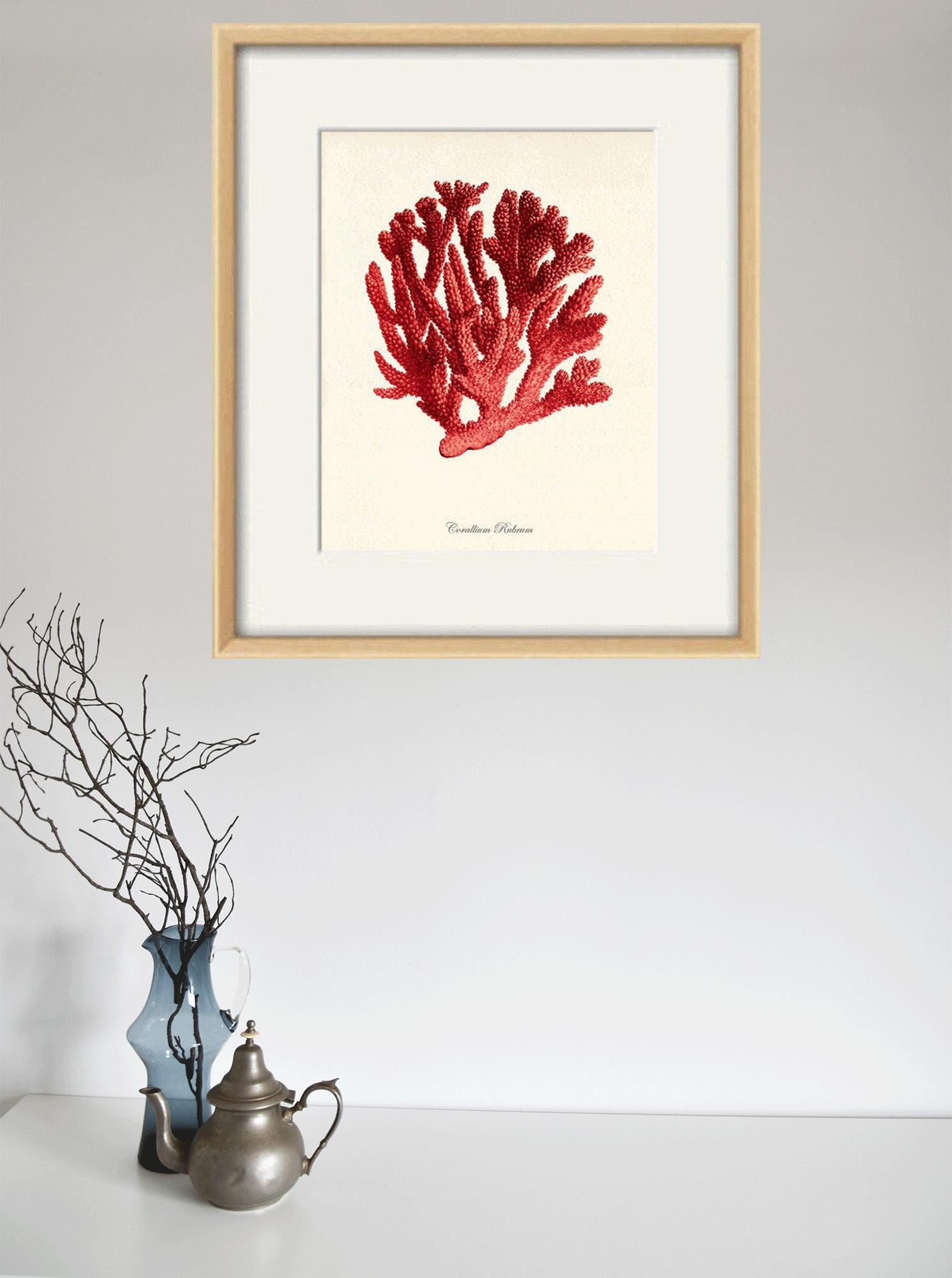 珊瑚 作品集「LUCORAL'S ART OF CORAL SINCE 1963 珊瑚 作品集「LUCORAL´S ART OF CORAL SINCE 1963