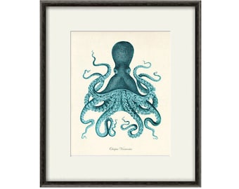 Octopus art print Antique prints old prints Nautical art print Ocean Decor Natural History art print vintage nature print Home decor wall