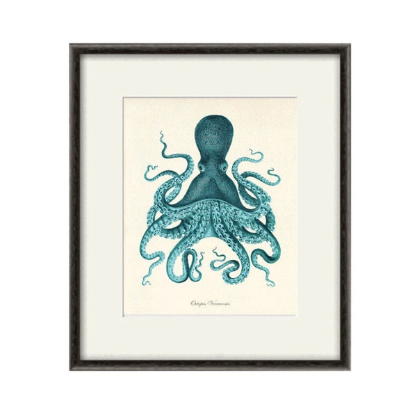 Octopus art print Antique prints old prints Nautical art print Ocean Decor Natural History art print vintage nature print Home decor wall