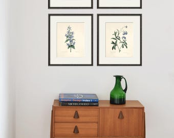 Antique Blue Botanical Prints Set of 4 – Vintage French Floral Wall Art to Warm Up Your Home – Elegant Cottagecore Gallery Decor