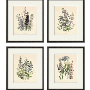 Antique botanical prints SET of 4 Botanical art prints flower prints wall art flowers botanical poster antique wall art home decor wall art