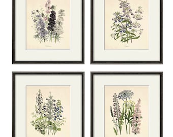 Antique botanical prints SET of 4 Botanical art prints flower prints wall art flowers botanical poster antique wall art home decor wall art