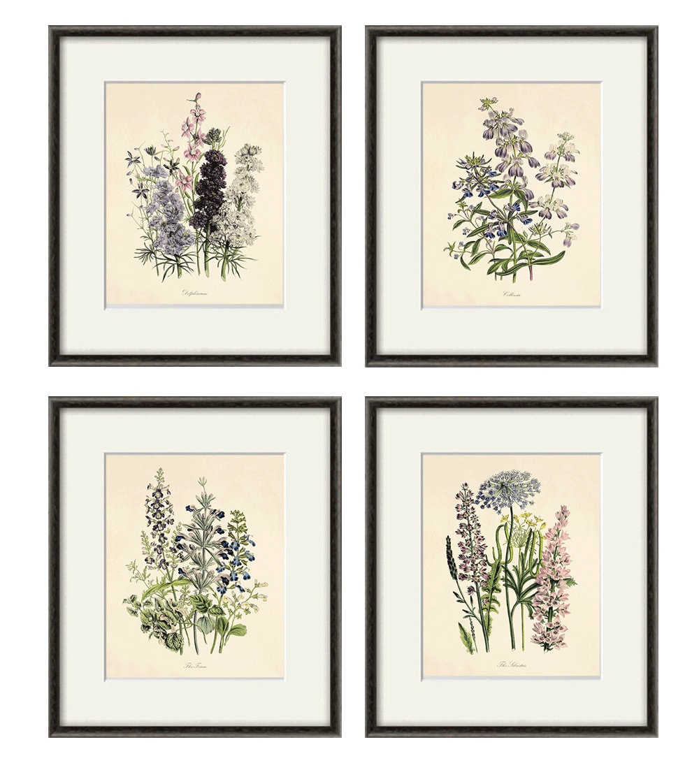 Antique botanical prints SET of 4 Botanical art prints flower | Etsy