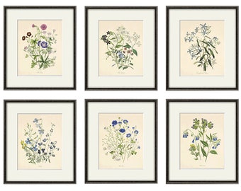 Antique botanical prints SET of 6 Botanical art prints flower prints wall art flowers botanical poster antique wall art home decor wall art