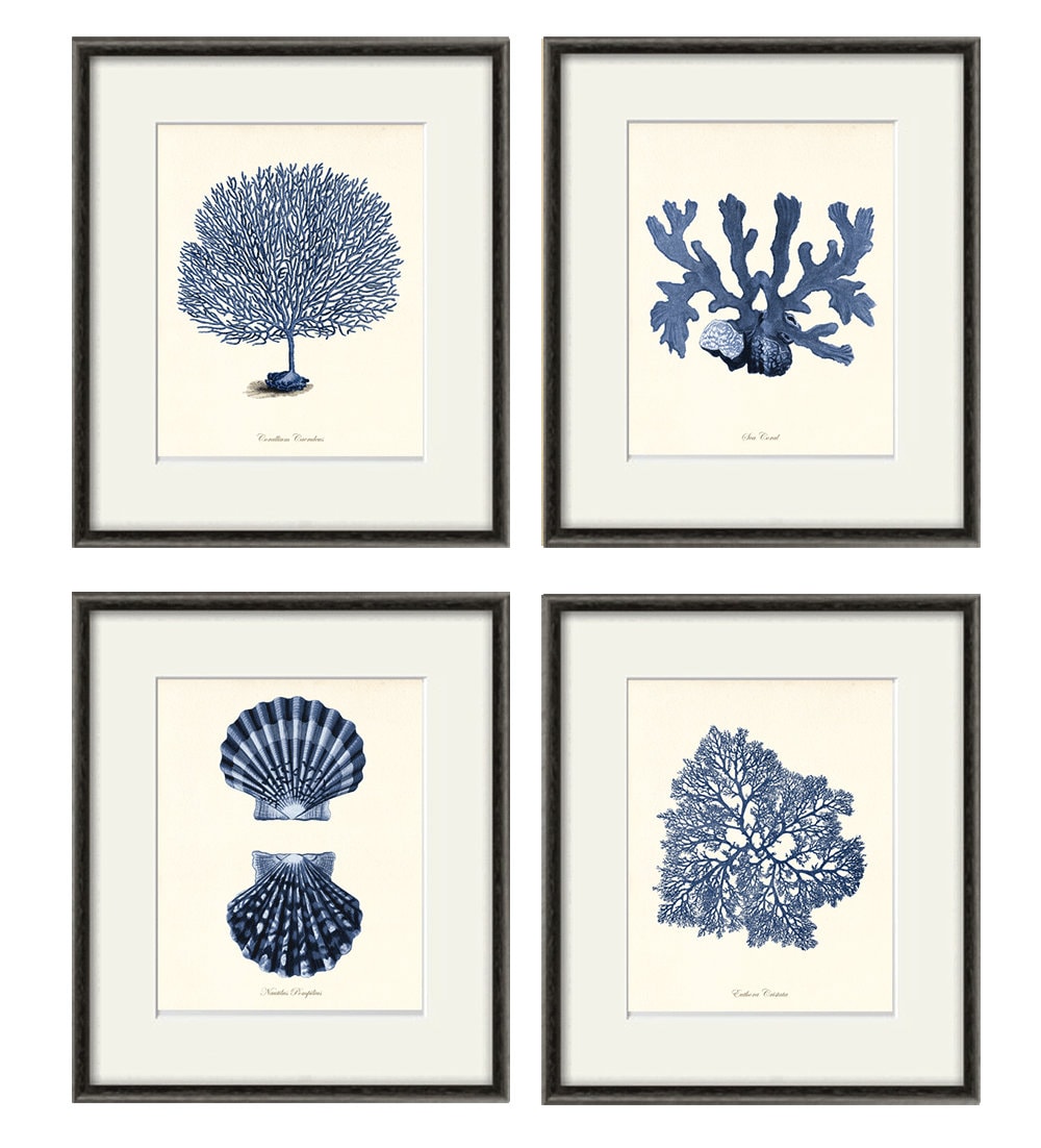 Sea Coral Art Print Nautical Art Print Set of 4 Antique Wall Etsy