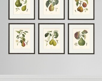 Antieke perenprintset: vintage Franse botanische keukenkunst (set van 6)
