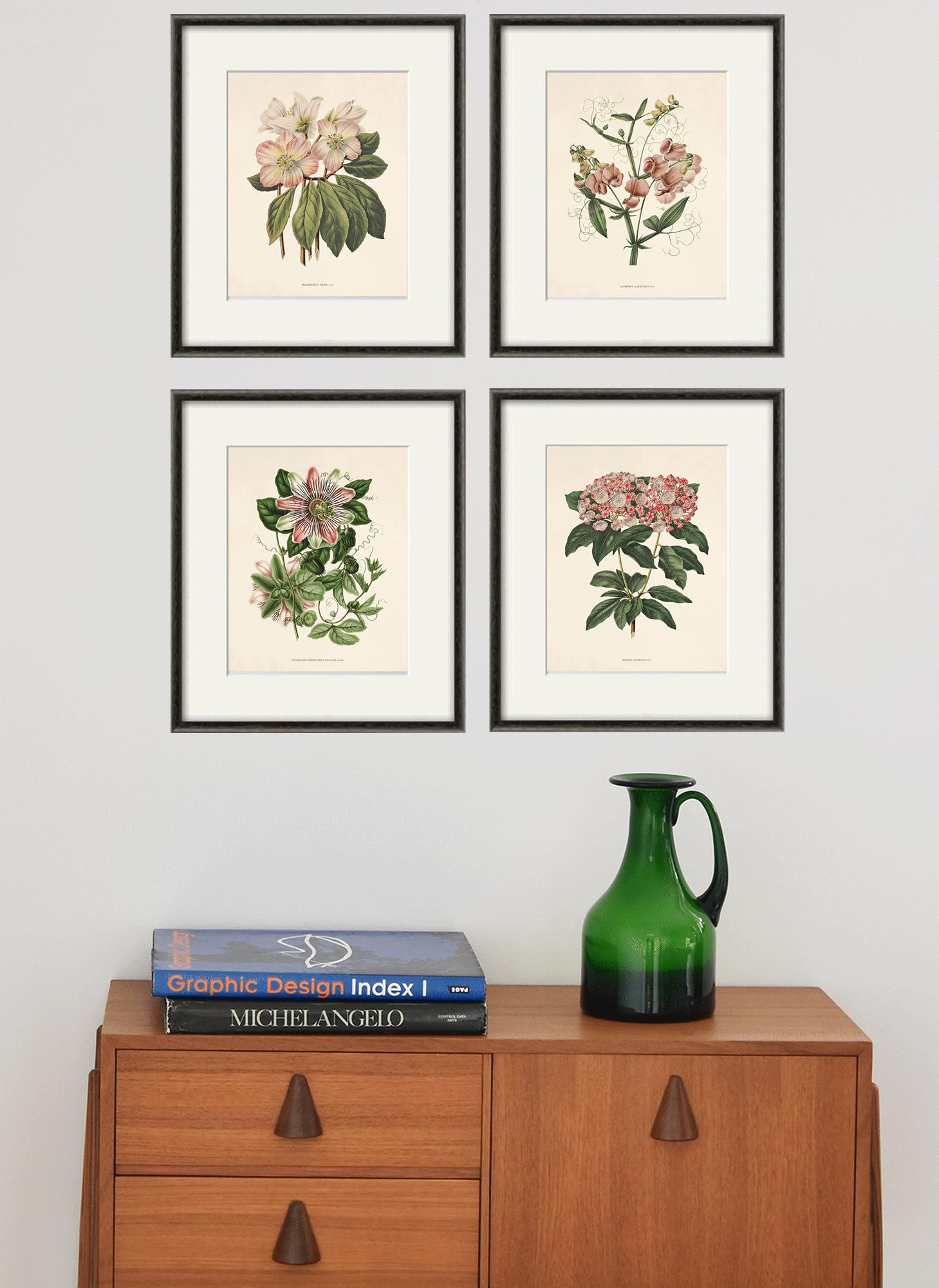 Antique Botanical Prints SET of 4 Botanical Art Prints
