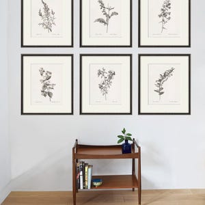 Antique botanical prints SET of 6 Botanical art prints flower prints wall art flowers botanical poster antique wall art home decor wall art