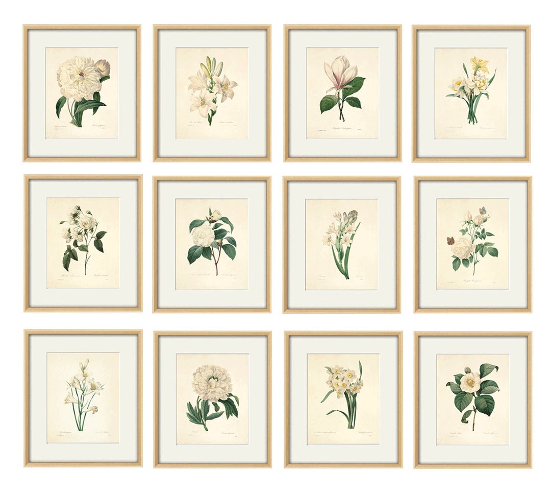 White Botanical Prints Vintage Flower Art Cottage Wall Art Victorian ...