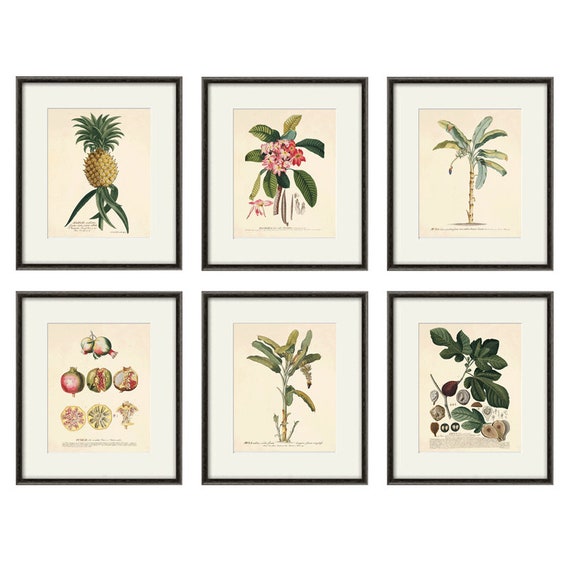 ボタニカルアート セット イタリア製 アンティーク ヴィンテージ