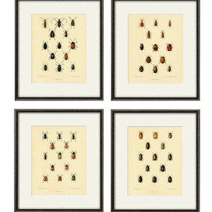 Antique Insect Art Print Beetle Art Print Insect Wall Art Vintage ...