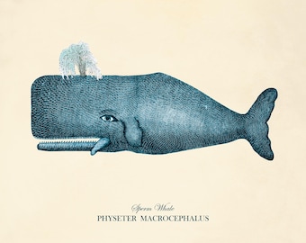 Antique Blue Whale Print: Victorian Nautical Ocean Art