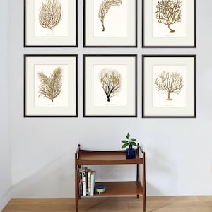 Sea coral art print Nautical art print set of 6 antique wall art beach Ocean art print Home decor wall art coral Sea art print Victorian art