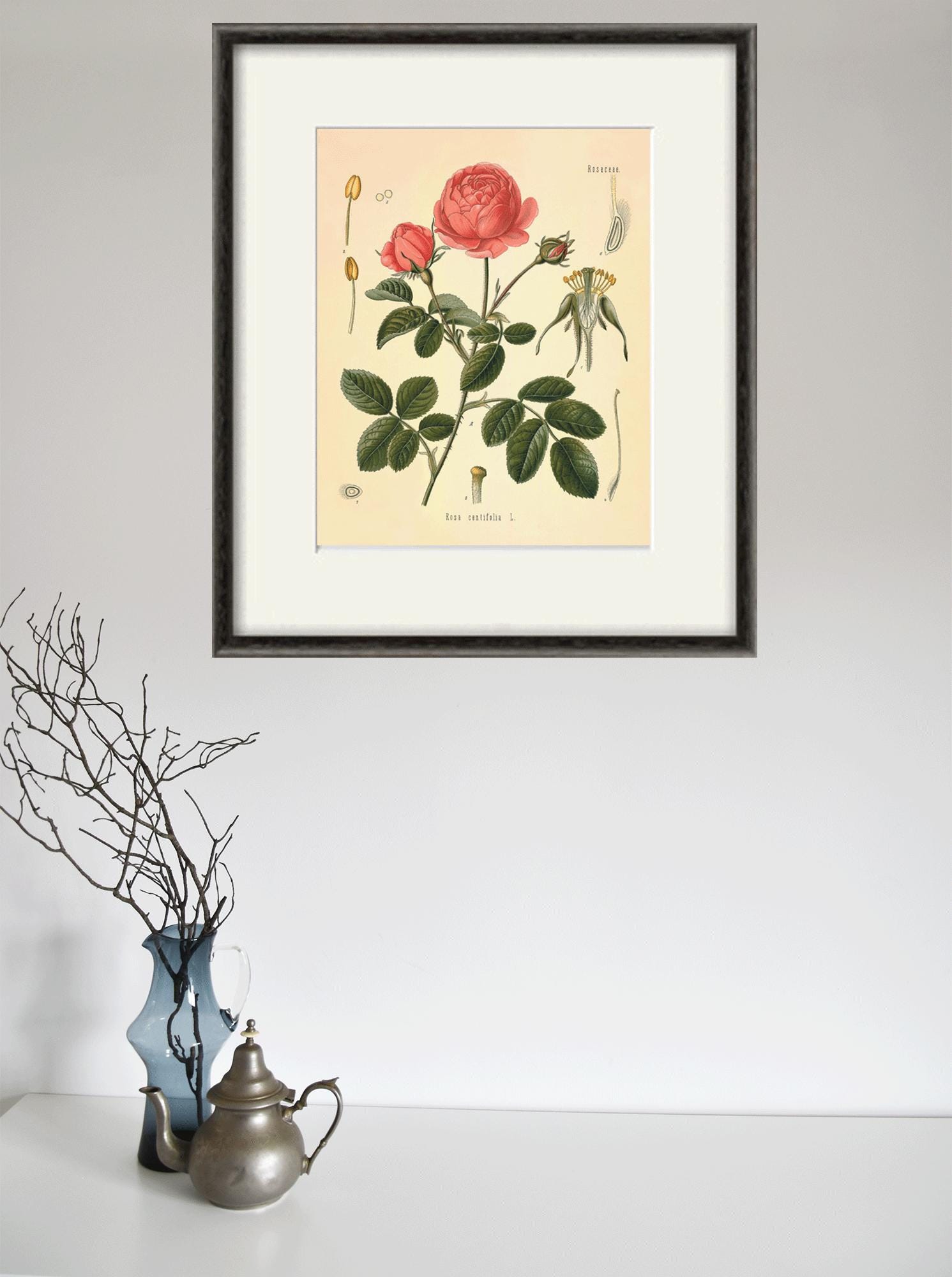 Pink Rose Botanical Print: Antique Victorian Flower Wall Art - Etsy
