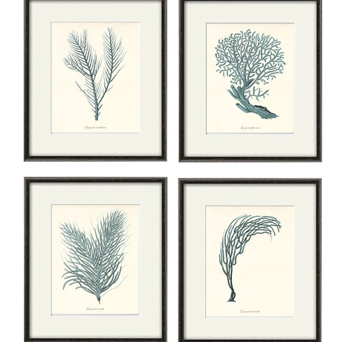 Sea Coral Art Print Nautical Art Print Set of 4 Antique Wall Etsy