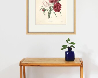 アンティークのカーネーションの花の版画：ヴィクトリア朝の植物画