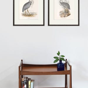 May include: Two framed illustrations of grey herons, one with a yellow beak and the other with a red beak, both standing on a brown background with green foliage.