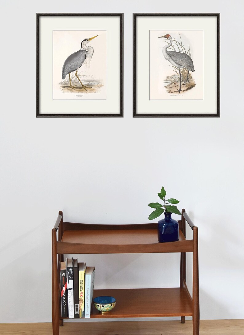 May include: Two framed illustrations of grey herons, one with a yellow beak and the other with a red beak, both standing on a brown background with green foliage.