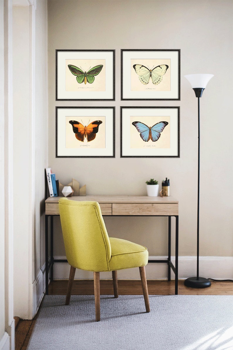 Butterfly art print French art print Cottage wall decor Victorian wall decor Antique print Nature wall art Home decor art Butterfly decor image 4
