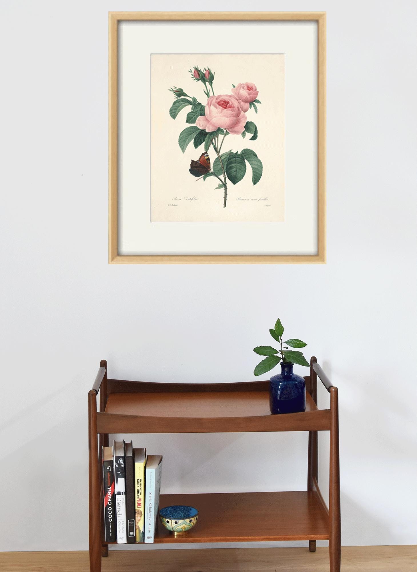 Antique Rose Art Print: Botanical Wall Decor - Etsy