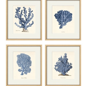 Blue sea coral art Nautical art print set old prints ocean life art Ocean Decor nature print beach art Home decor wall art Sea art print