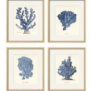 Blue sea coral art Nautical art print set old prints ocean life art Ocean Decor nature print beach art Home decor wall art Sea art print