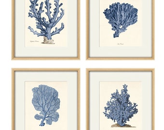 Vintage Sea Coral Print Set: Nautical Coastal Wall Art