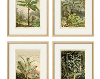 Palm tree art print antique Botanical Art Prints Home Decor Wall Art Victorian art print Garden Wall Art Vintage prints antique wall art