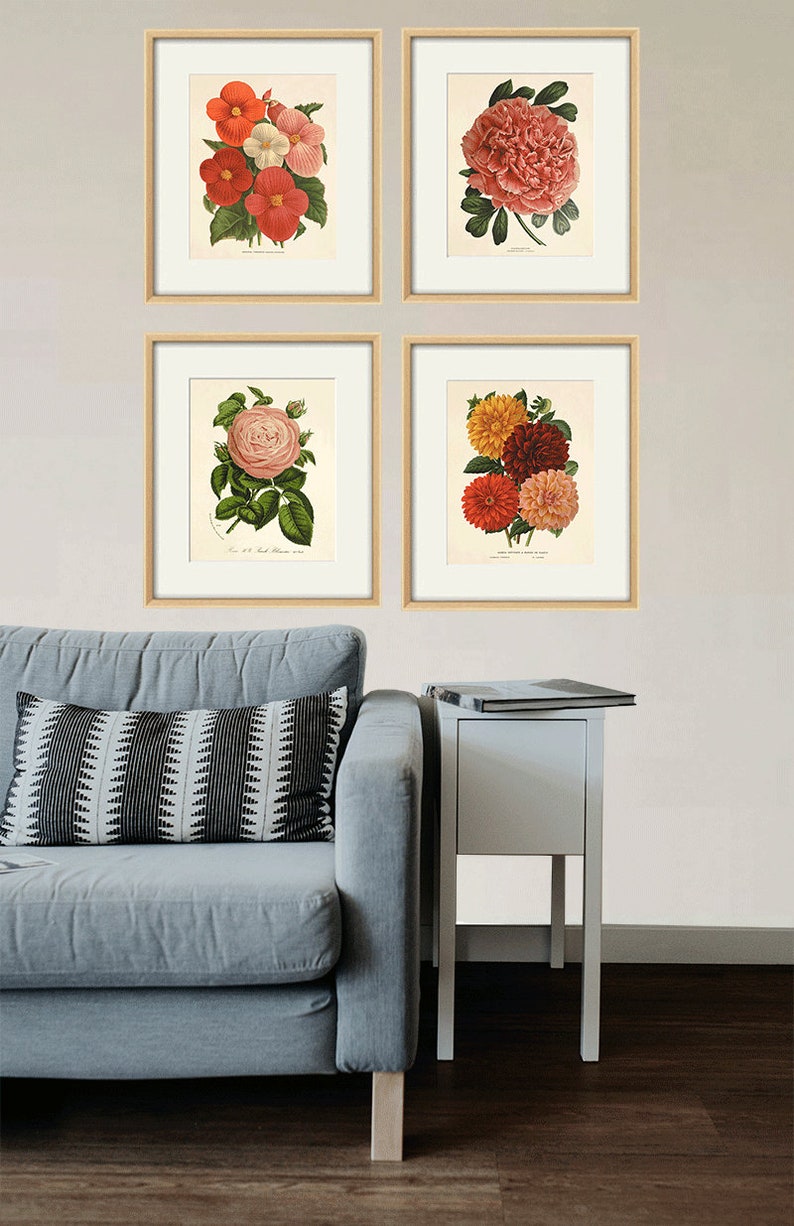 Dahlia Vintage flower art print garden wall art botanical prints Antique prints home decor wall art French prints old prints Flower decor image 6