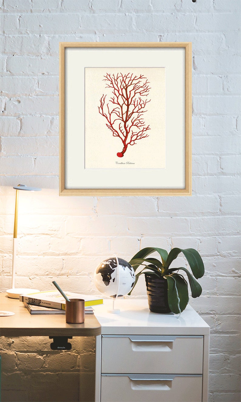 Sea Coral Art Print Vintage Sea Art Print Old Prints Nautical Etsy