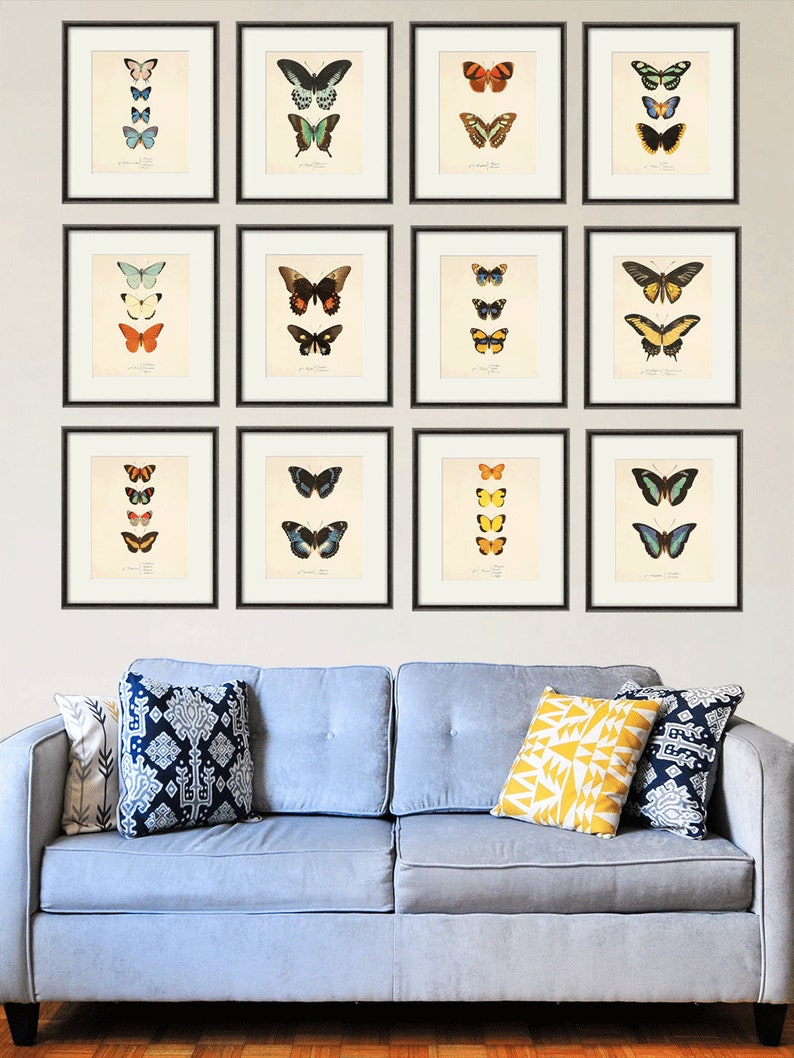 Butterfly art print French art print Cottage wall decor Victorian wall decor Antique print Nature wall art Home decor art Butterfly decor
