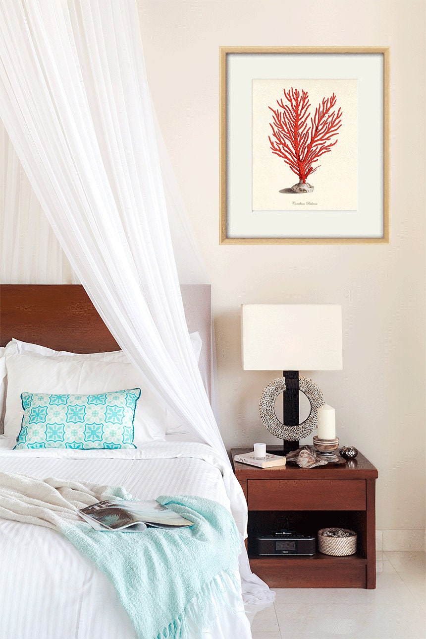 Sea Coral Art Print Vintage Sea Art Print Old Prints Nautical Etsy