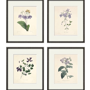 Violet flowers print poster antique print Botanical Art Print Home Decor Wall Victorian art Garden Wall Art flower art print botanical print