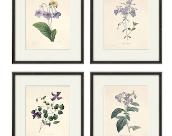 アンティークのスミレの植物画：ビクトリア朝時代の花のイラスト
