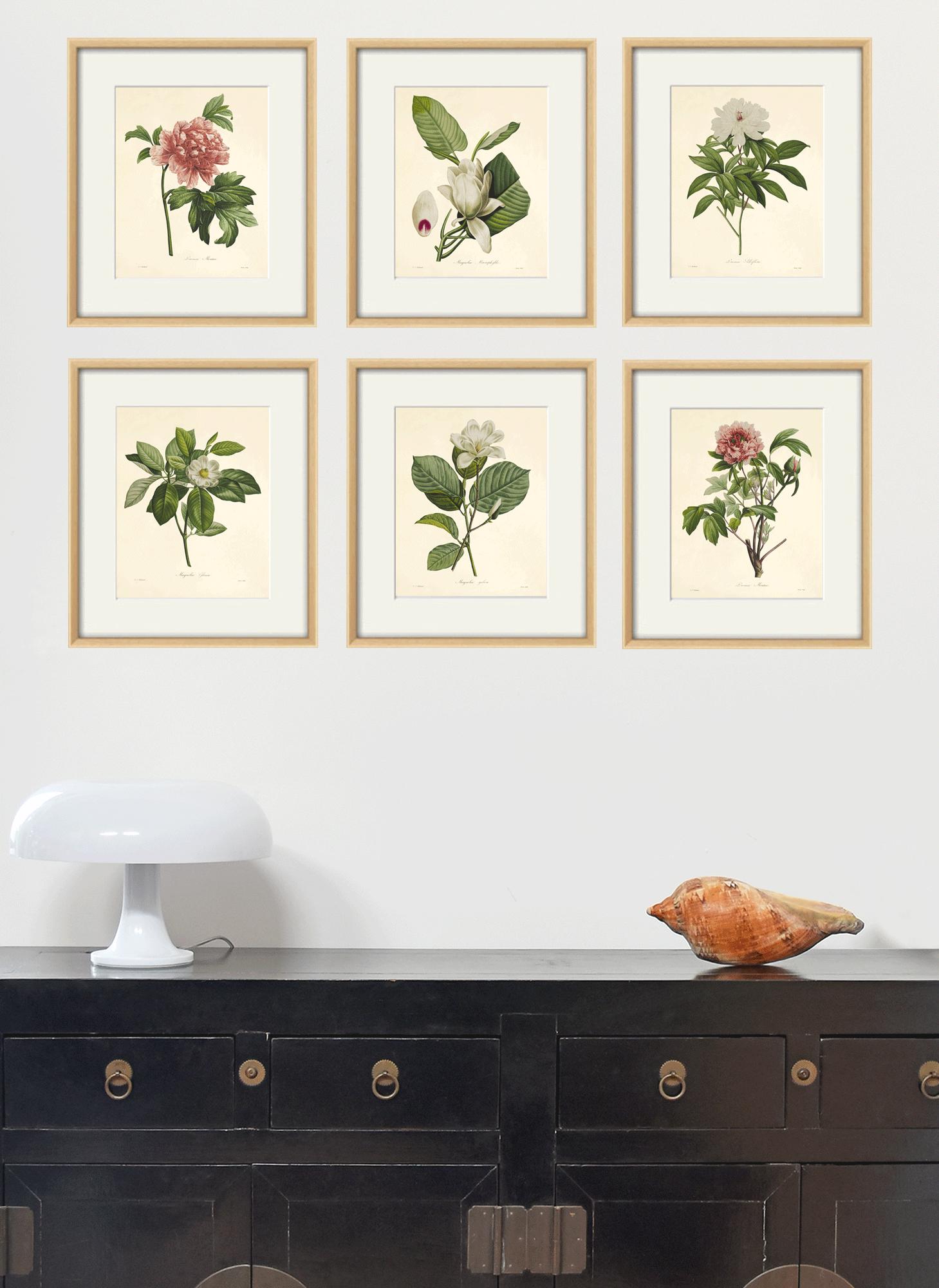 Vintage Magnolia Print: French Botanical Art, Victorian Garden