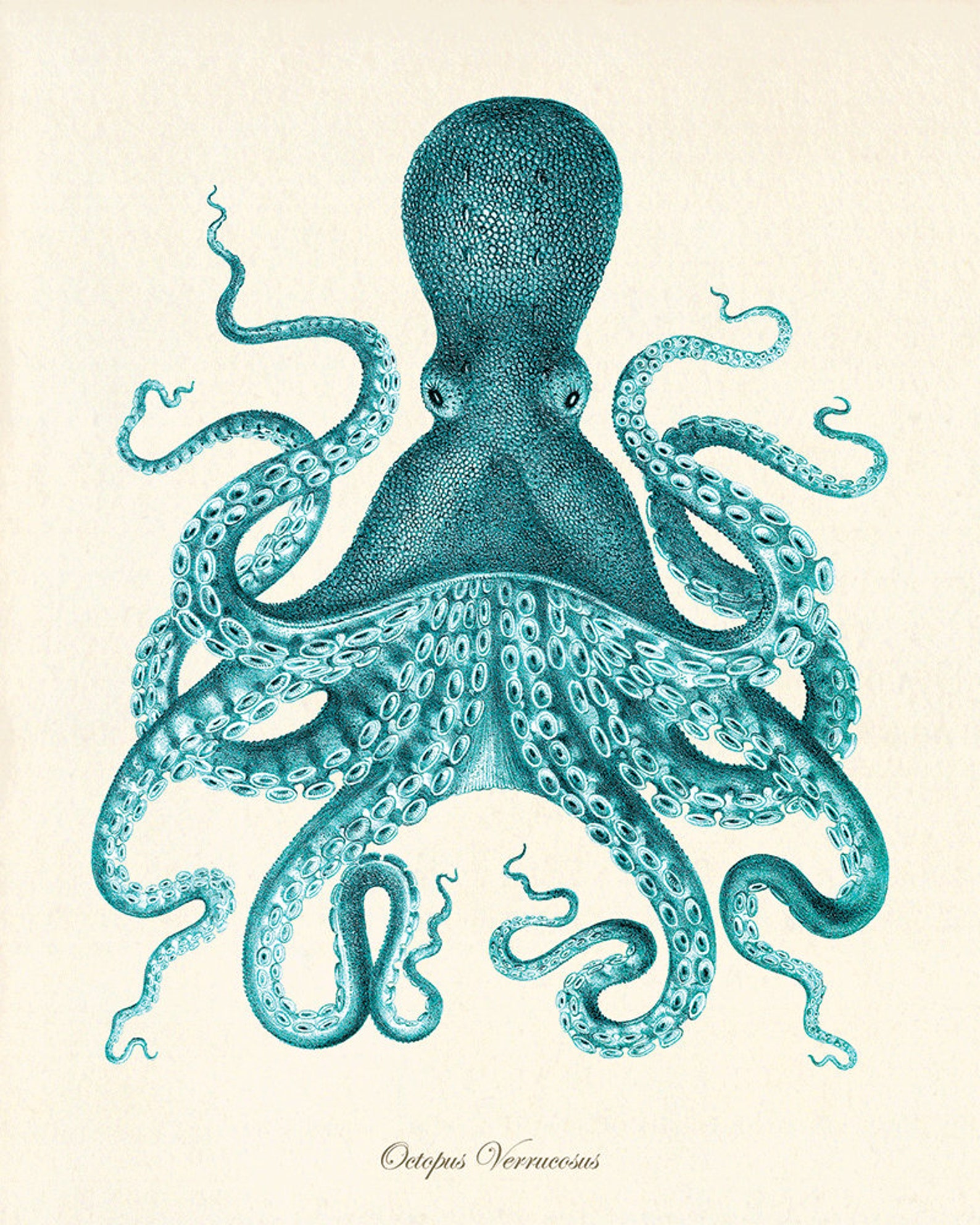 Blue Sea Coral Art Nautical Print Set Sea Art Print Vintage Etsy