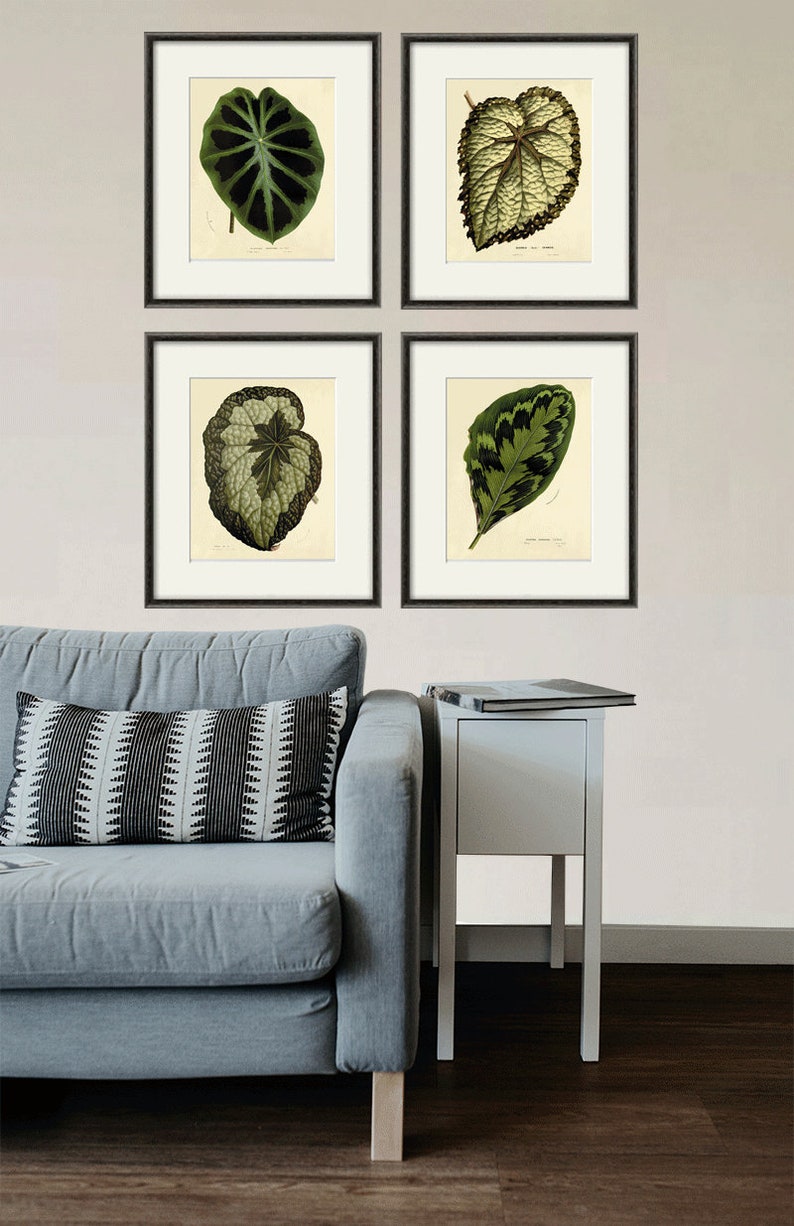 Antique leafs art print botanical art prints Vintage garden wall art home decor wall art antique wall art Victorian art plant art Nature art