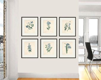 Antique botanical print Botanical art prints flower prints wall art flowers botanical poster antique wall art home decor wall art SET of 6