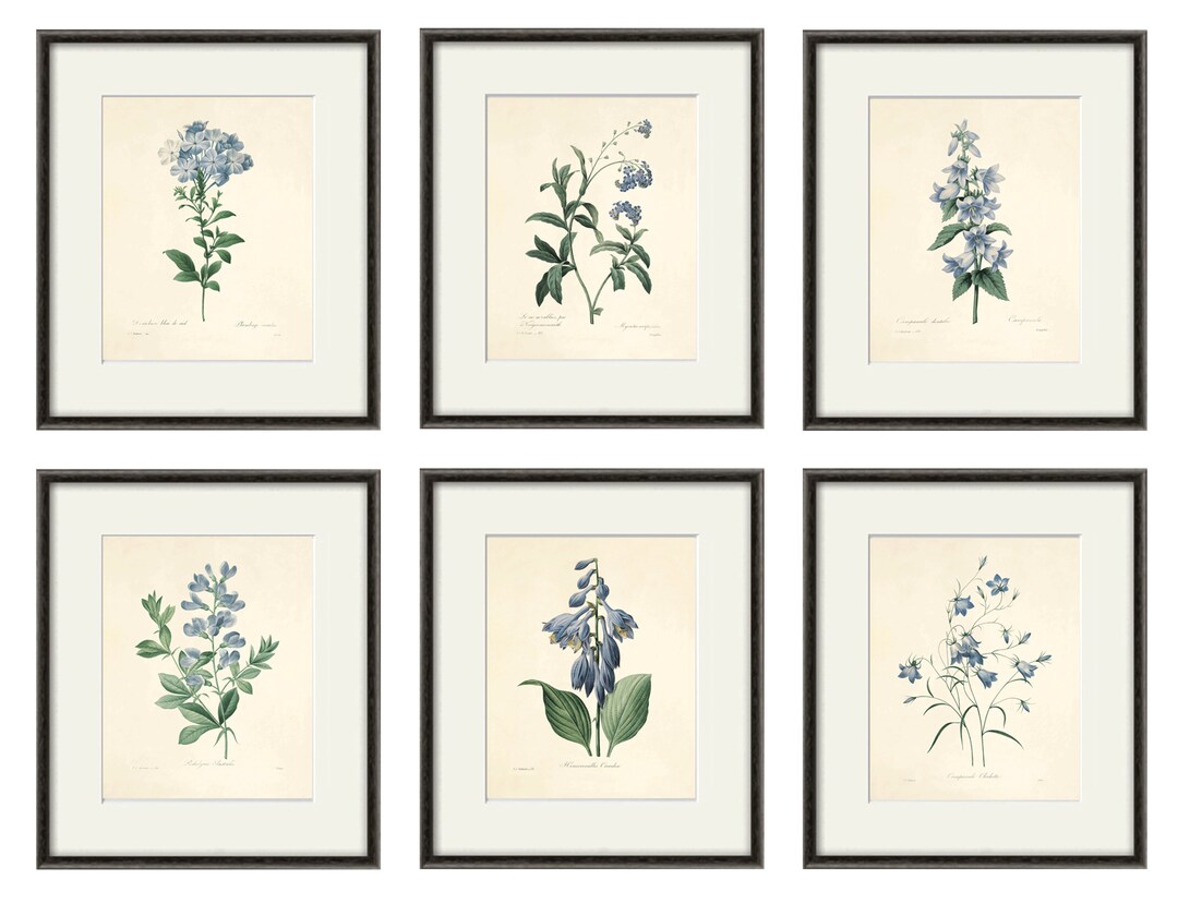 Blue Botanical Prints Vintage Flower Art Cottage Wall Art Victorian ...