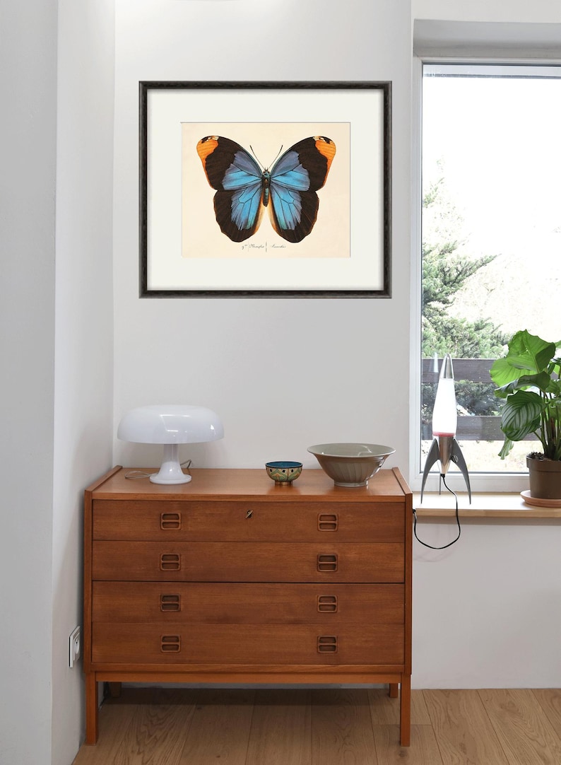 May include: A framed print of a blue and orange butterfly with black markings. The print is hanging on a white wall above a wooden dresser with three drawers.