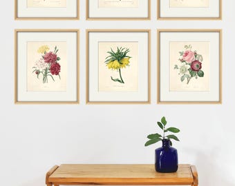 Antique Flower Prints Set: Redoute French Botanical Wall Art