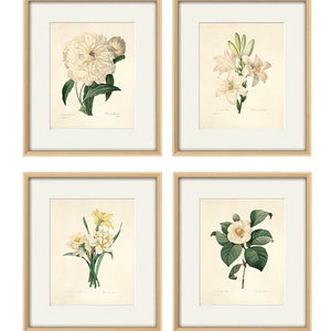 Antique botanical print Botanical art prints flower prints wall art flowers botanical poster antique wall art home decor wall art SET of 4