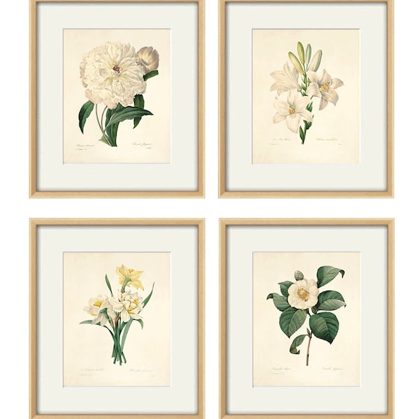 Antique botanical print Botanical art prints flower prints wall art flowers botanical poster antique wall art home decor wall art SET of 4