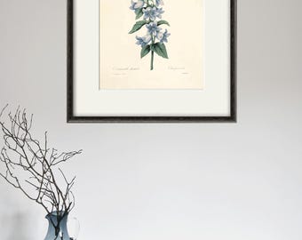 Antiker Blumendruck Cottage Wandkunst Blumen Viktorianischer Druck Französisches Dekor antike Wandkunst Blumendekor Botanische Wandkunst Gartendruck