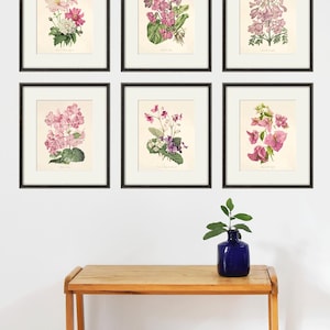 Antique botanical prints SET of 6 Botanical art prints flower prints wall art flowers botanical poster antique wall art home decor wall art