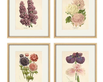 Antique botanical print Botanical art prints flower prints wall art flowers botanical poster antique wall art home decor wall art SET of 4