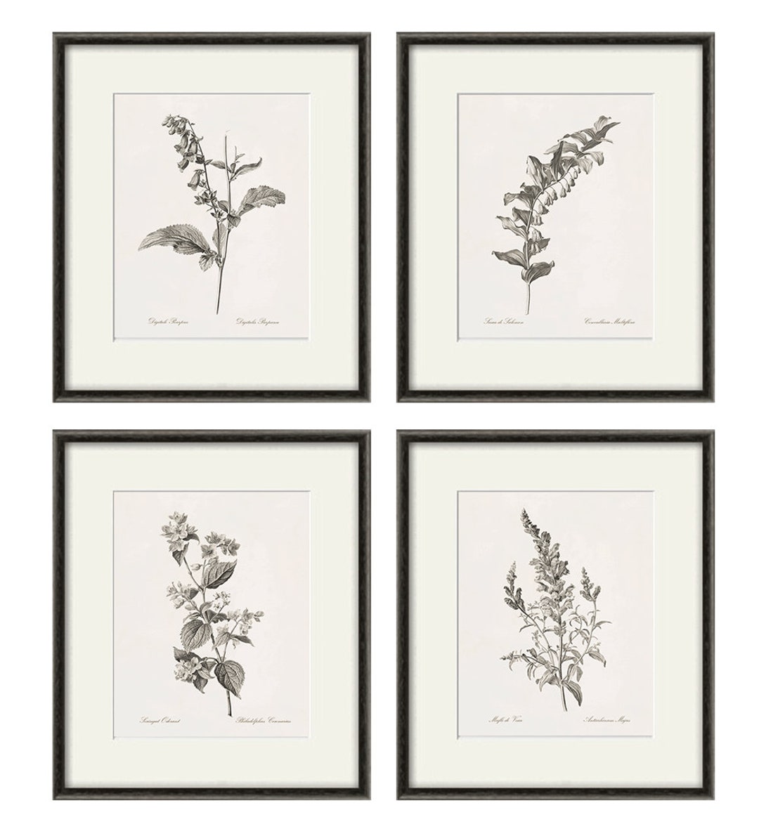 - Art Botanical Wall Antique 4 Decor Poster Botanical Art Botanical SET Flower of Art Etsy Prints Wall Antique Wall Flowers Art Prints Home Prints